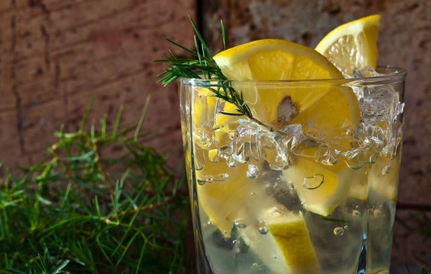 Gin Tasting in München, After Work Tasting, 5 Sorten Gin