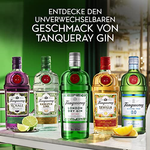Tanqueray London Dry Gin | DER Gin Klassiker
