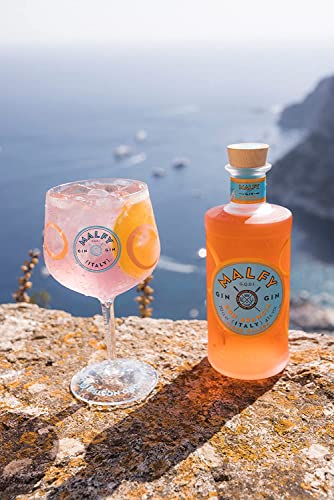 Malfy Gin con Arancia – Super Premium Gin aus Italien