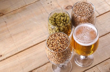 Bier Braukurs bei Konstanz, brauen nach dem Reinheitsgebot, Singen