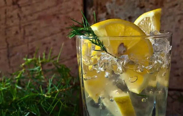 Gin Tasting in Köln, After Work Tasting, 5 Sorten Gin